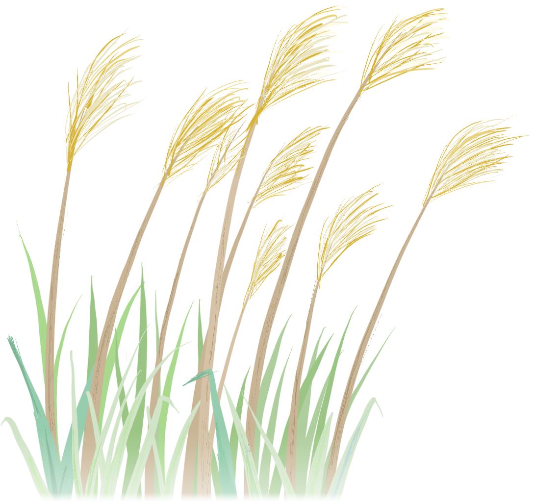 查颈动脉斑块挂什么科,颈动脉斑块的治疗方法