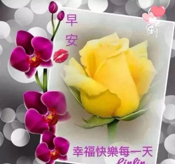 心灵的伙伴是什么,心灵的伙伴是温暖源泉