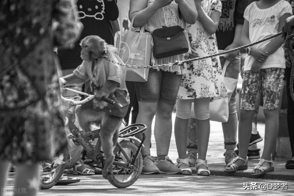 陕北说书人李守旺现状,盲人说书人李守旺后续