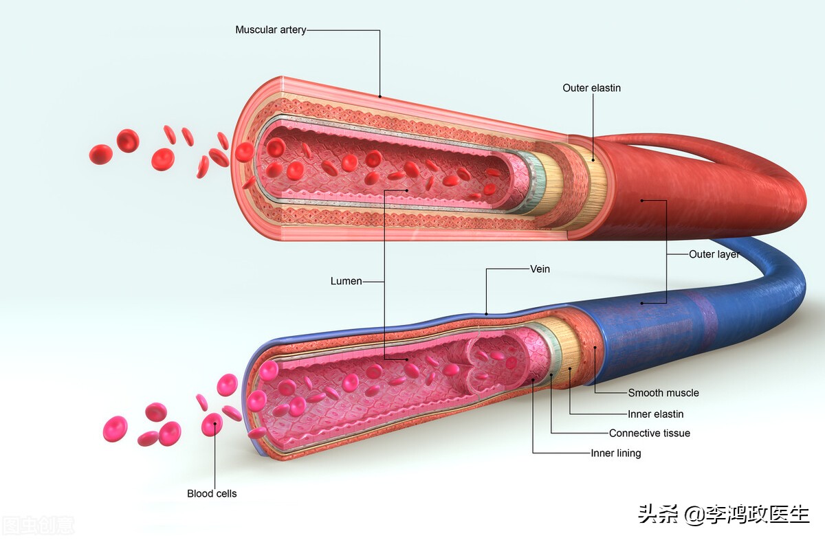 女子头晕，吃了无数补品无效，医生看到牙龈：可能需要把子宫切除
