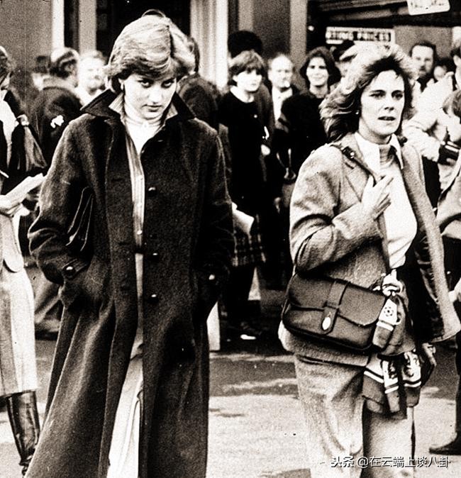 查尔斯王子为什么不爱戴安娜王妃,查尔斯王子与戴安娜关系