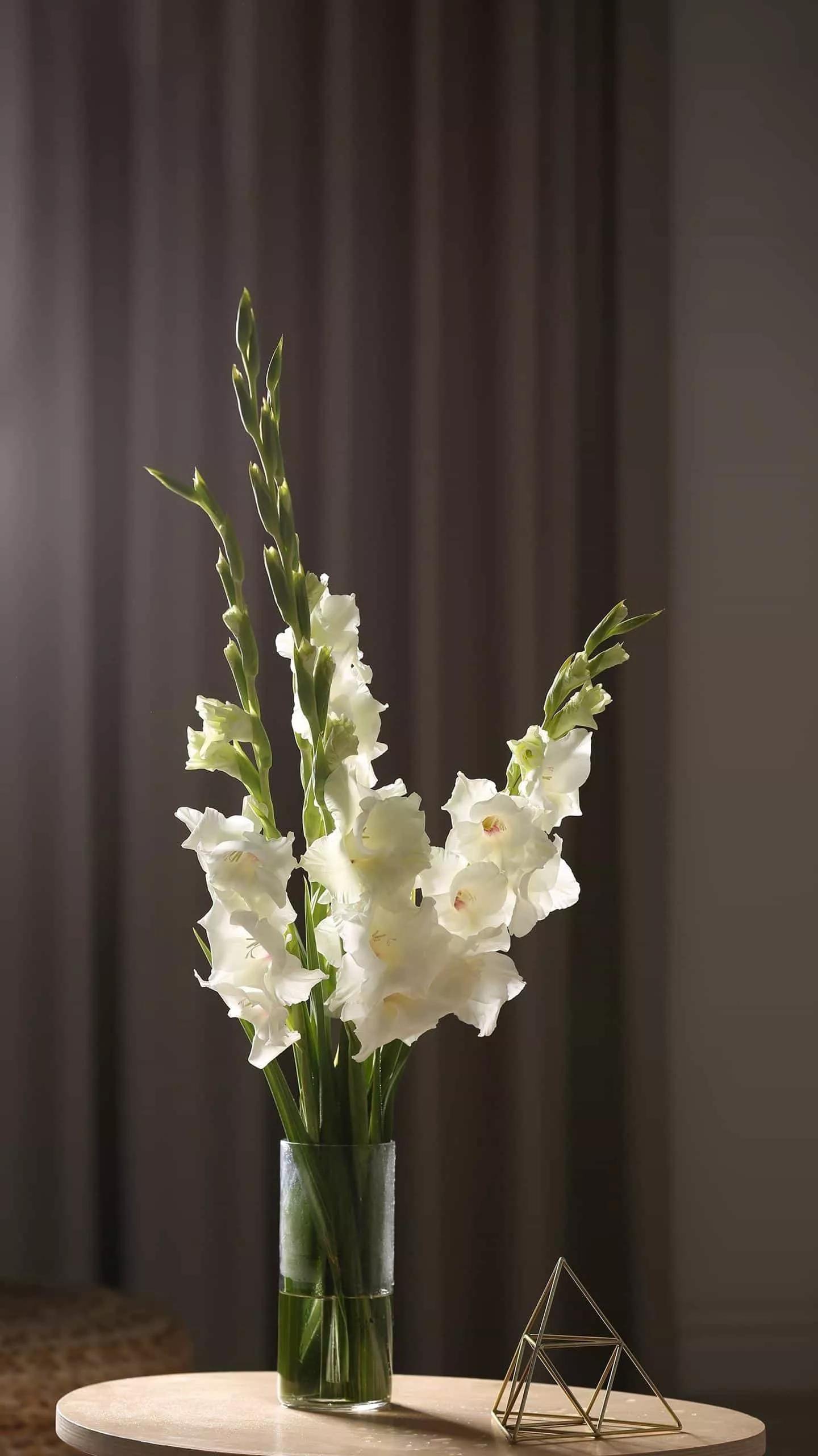 健康又快速减肥食谱,快速健康减肥一日三餐