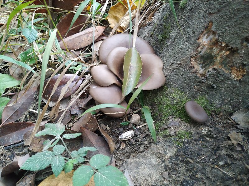 杭州市周末自驾游去哪里好玩,杭州出发周末旅游攻略