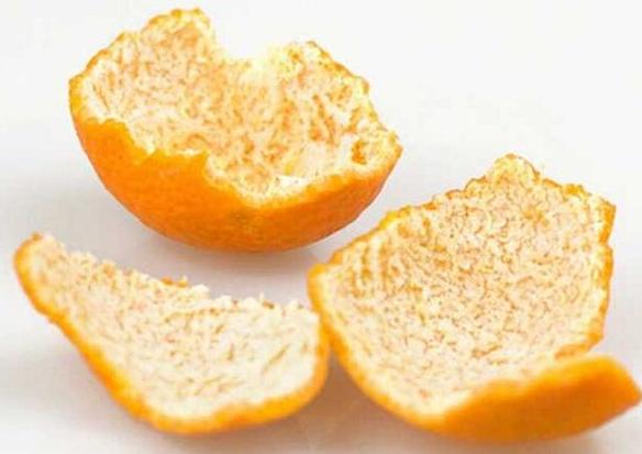 狗狗身上有跳蚤教你一招轻松去除,狗身上有跳蚤偏方