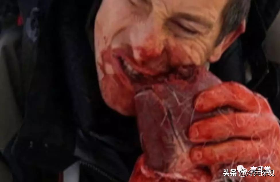 贝爷刀具大全,贝爷使用过的户外刀