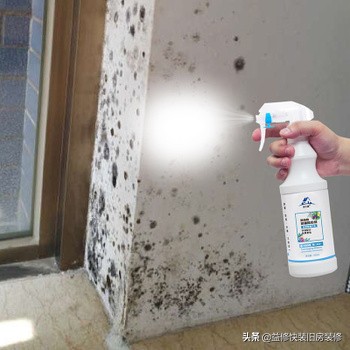 家里墙壁发霉了怎么处理干净,家里墙壁发霉怎么处理妙招