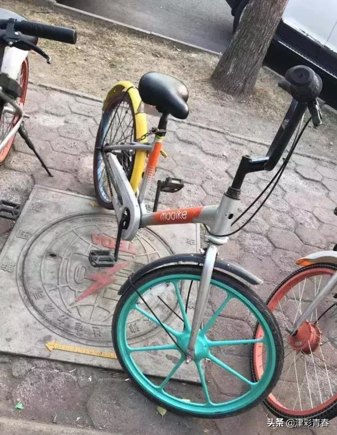 共享单车变身“混血儿”?!网友:介得装仨APP才能扫得开吧……
