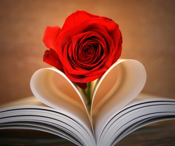 处理家庭关系最高情商的男人,情商高的女人如何处理家庭关系