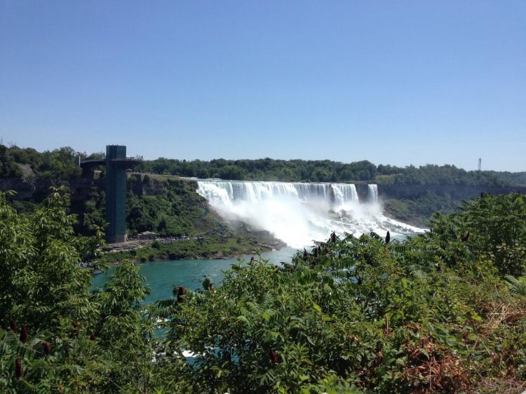 全球顶尖名校留学生回国就业率,名校留学回国就业怎么样