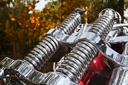 美国定制大象,美国定制大狗摩托车