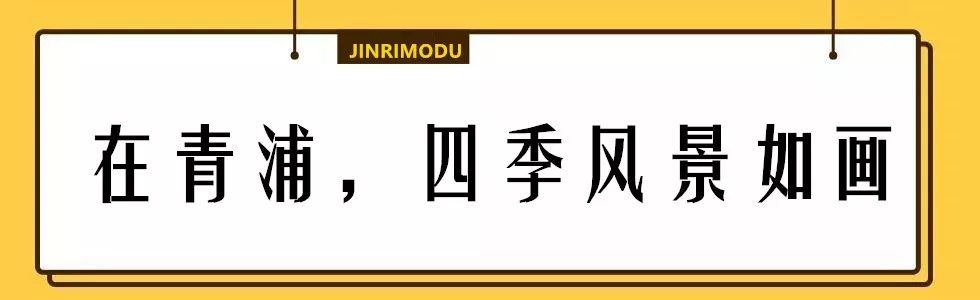在上海拥有这样一个露台多幸福,在上海有一种温暖叫邻里互助