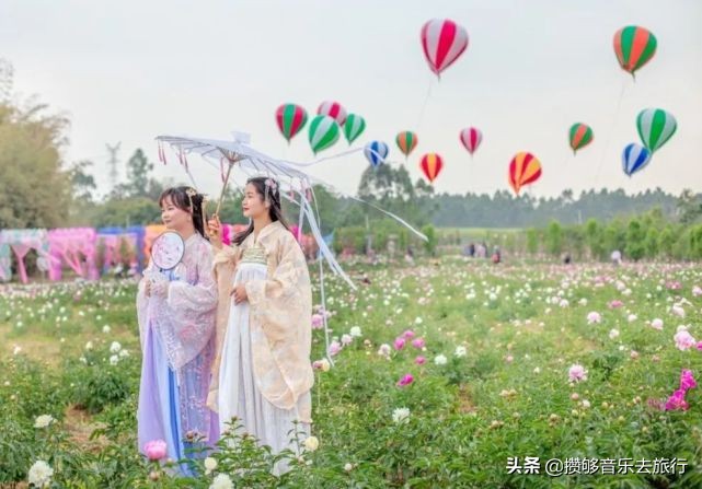 彭山网红打卡地南巷街,成都红枫岭网红打卡地