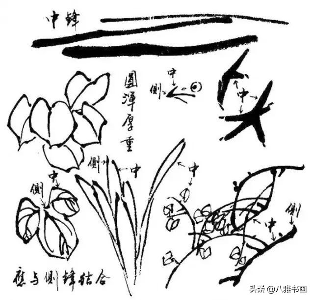 小写意花鸟画笔法,小写意花鸟画笔墨技法与创作