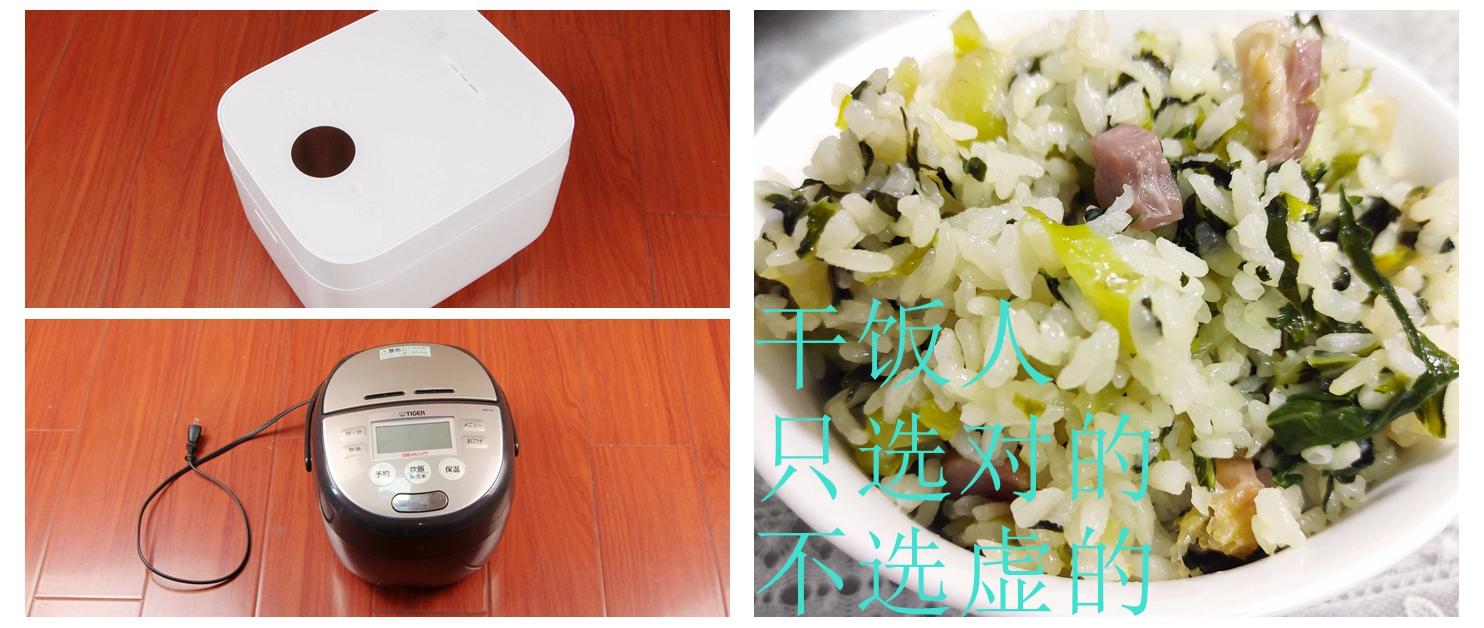 日本电饭煲饭,电饭煲做饭不香怎么回事