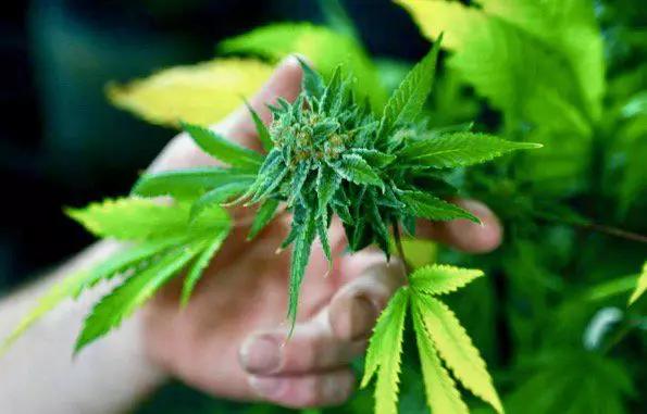 春耕万物生,春耕时节万物开