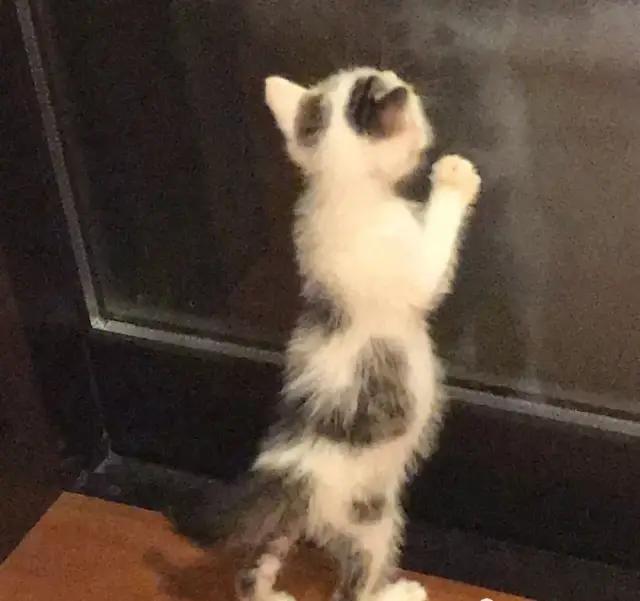 暖哭!90岁奶奶用废报纸作画,震撼数万网友:我缺的是纸吗?是手