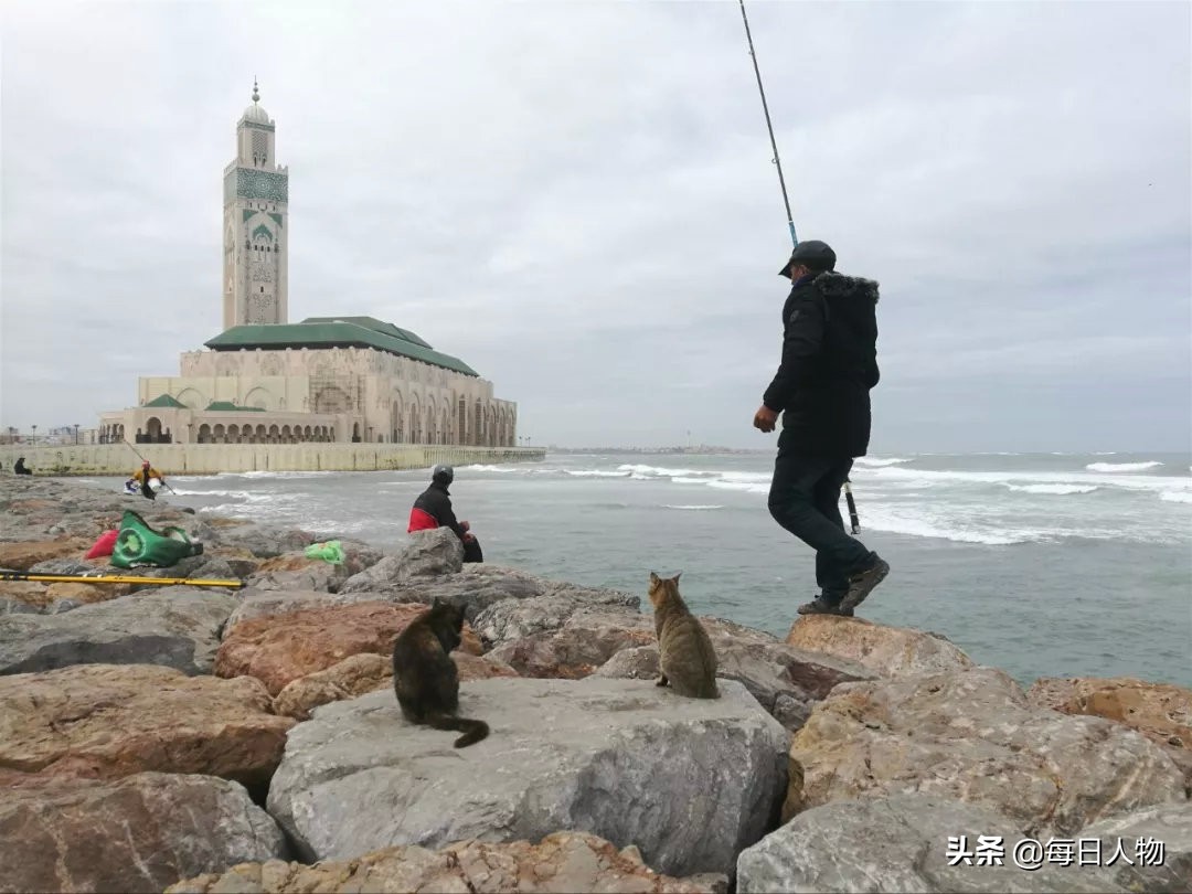 全世界最爱看着大海发呆的人，都去了哪里？