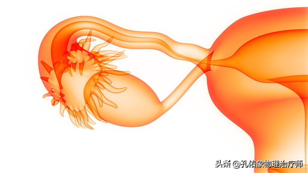 女大腿根内侧疼痛是什么原因,女性左大腿内侧根部疼是怎么回事