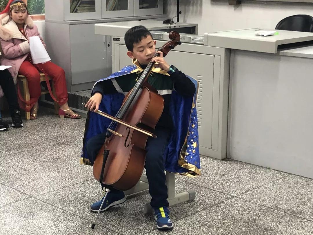 重庆沙坪坝区5朵金花小学,重庆公认最好的五个小学