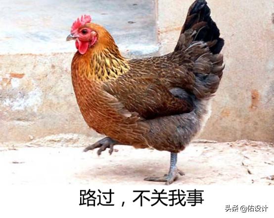 新手爸妈不要错过的知识,生长发育期孩子补钙什么季节最好