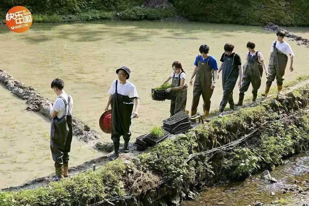 她在全世界圈粉,却在国内挨骂