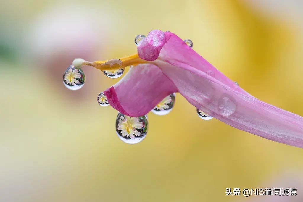 相机微距滑轨,微距镜头滑轨