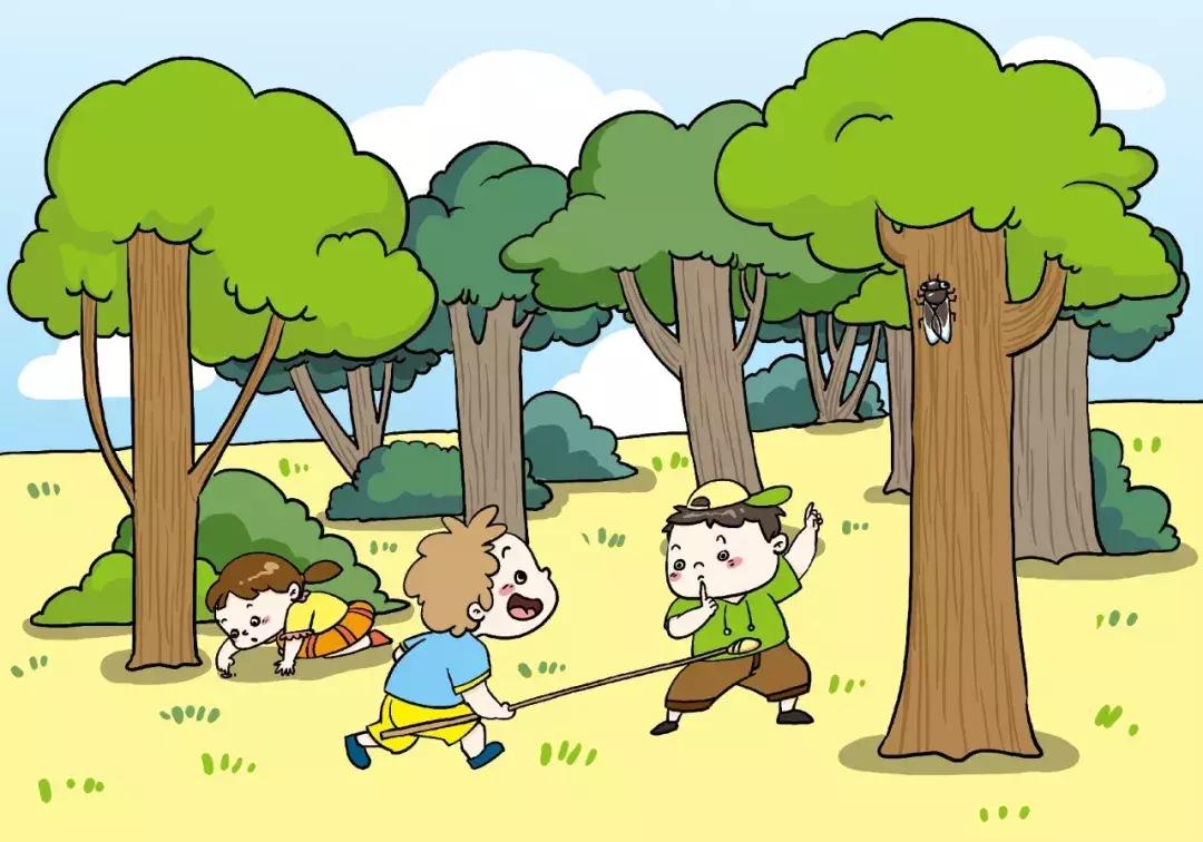 网上卖玩具的骗局是真的吗,300万买玩具真相