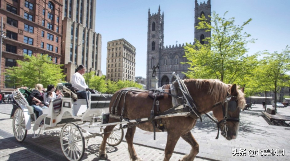 外国人如何评价加拿大各城市？