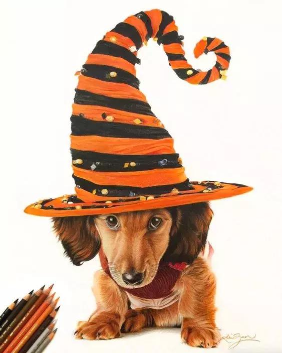 彩铅如何画得非常细腻,彩铅画的很好看零基础