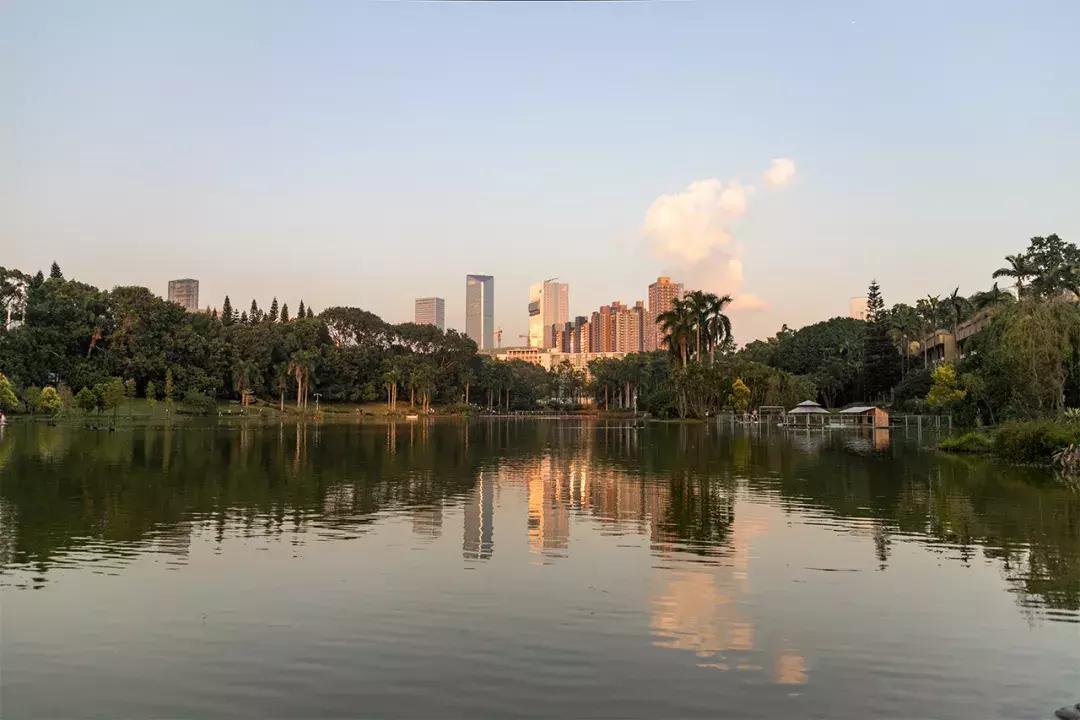 深圳大学游玩攻略一日游,深圳大学打卡攻略