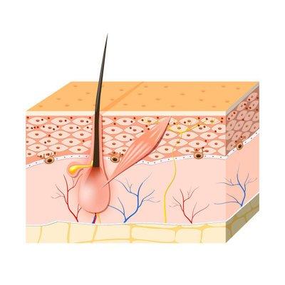 皮肤不吸收水是什么原因,皮肤搓泥不吸收护肤品怎么办