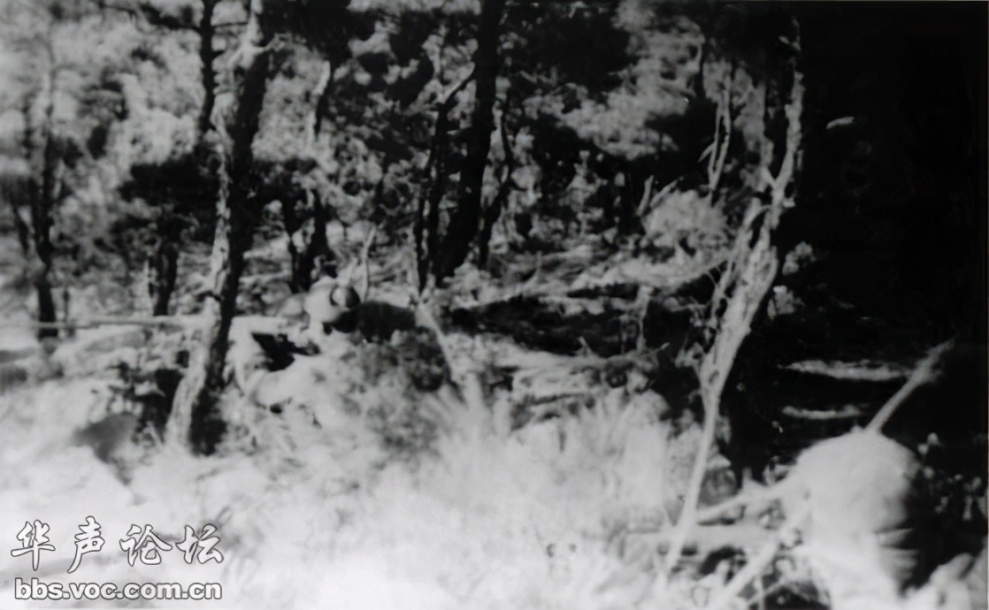 抗美援朝三次战役态势图,抗美援朝第三次战役图解