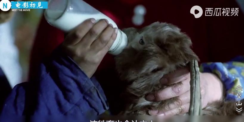 农民吃了一头羊，村长乡长竟然全坐牢，极具讽刺意味的国产片