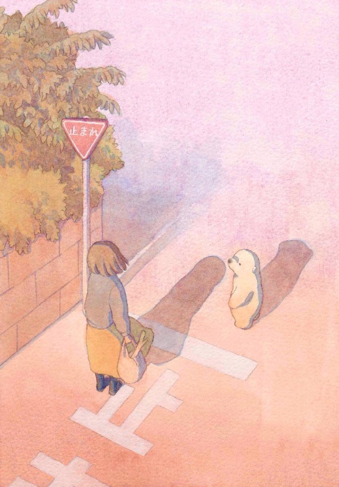 治愈插画故事书,治愈人心的插画故事