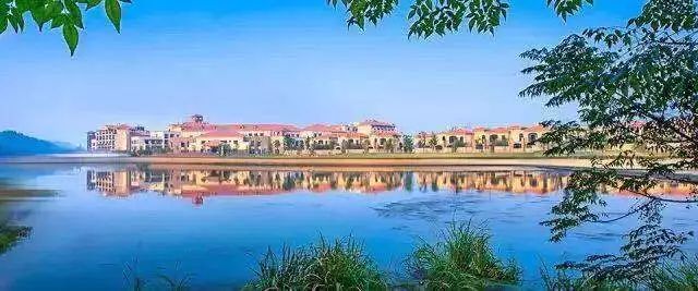 ¥599/套起!栖息30只孔雀!竹海环绕避世酒店竟全部用竹子造