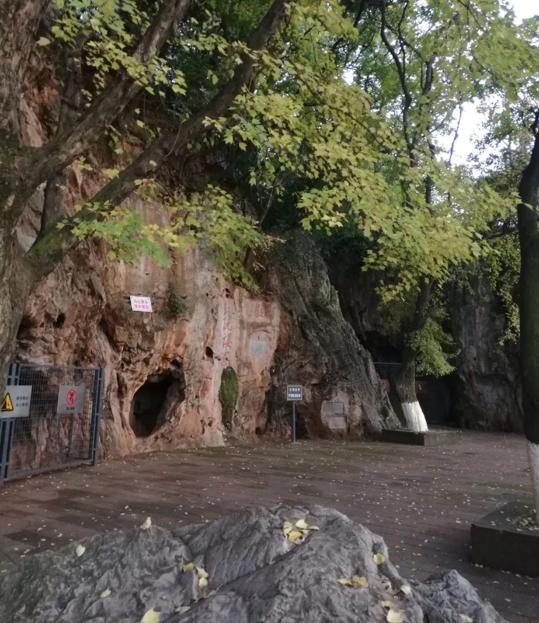 昆明避暑冷惨了外省人,昆明过冬真实感受