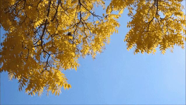 给吃撑的人做按摩,吃饱帮助消化动作