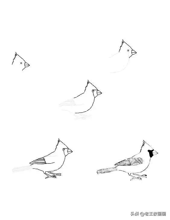 最简单的简笔画教程,超简单儿童简笔画入门初学