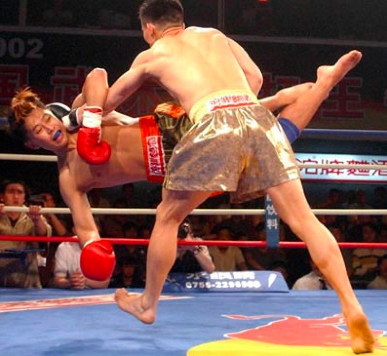 散打介绍简短文字,散打文章