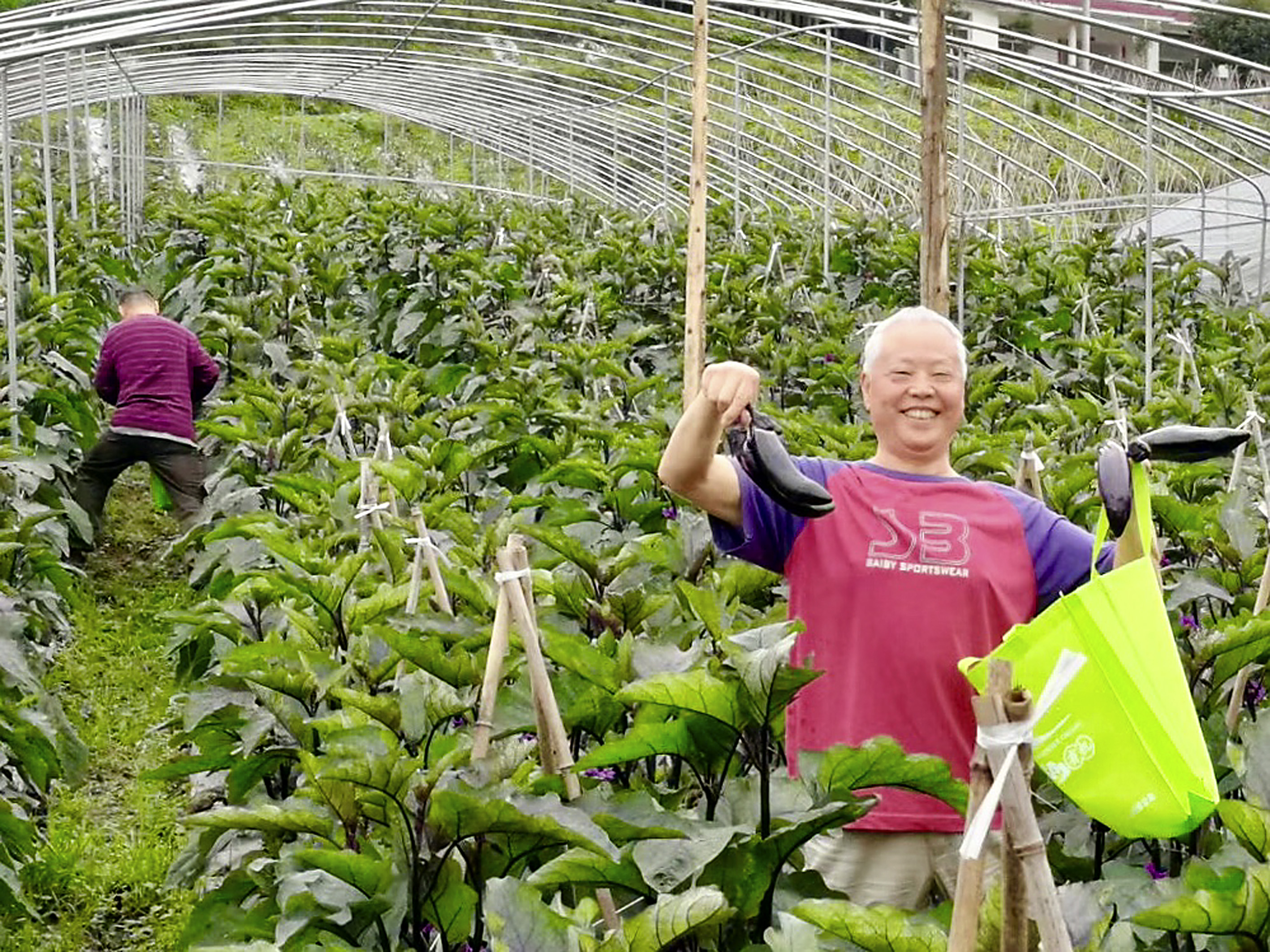 成都农庄度假屋推荐,半山农庄在哪个地方