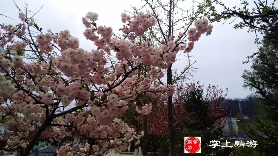 麟游旅游攻略一日游,宝鸡五一游攻略