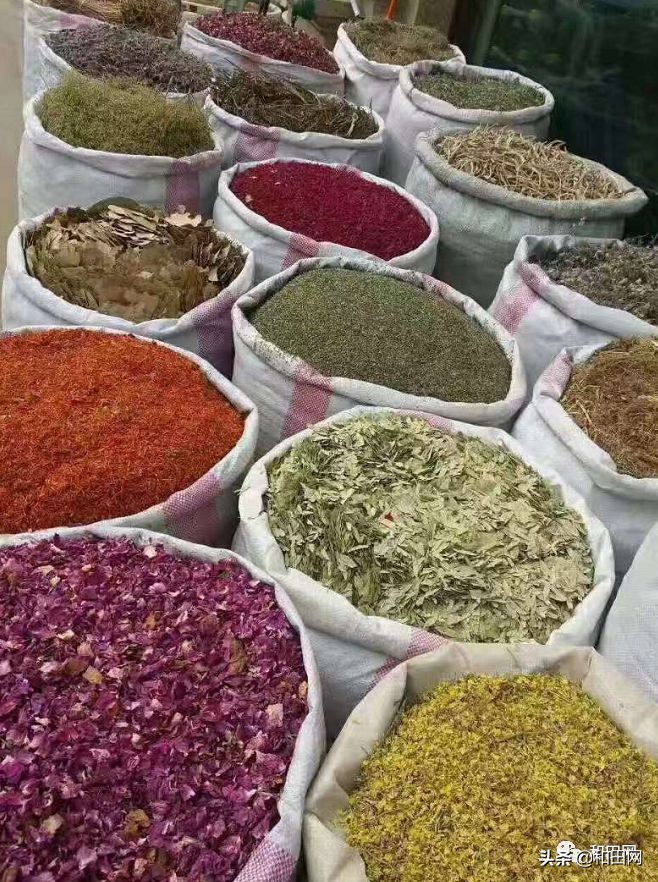 和田欣明南国城美食,和田欣明南国城音乐餐吧联系方式