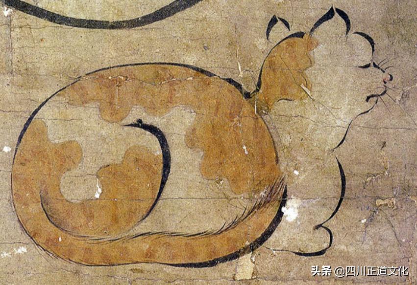 猫的故事高清图片,盘点猫的曾经故事