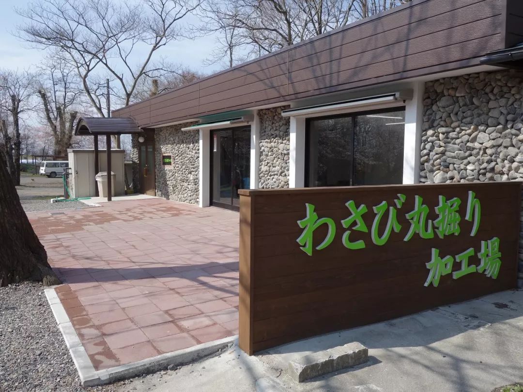 25亩荒地居然年游客竟然超过100万