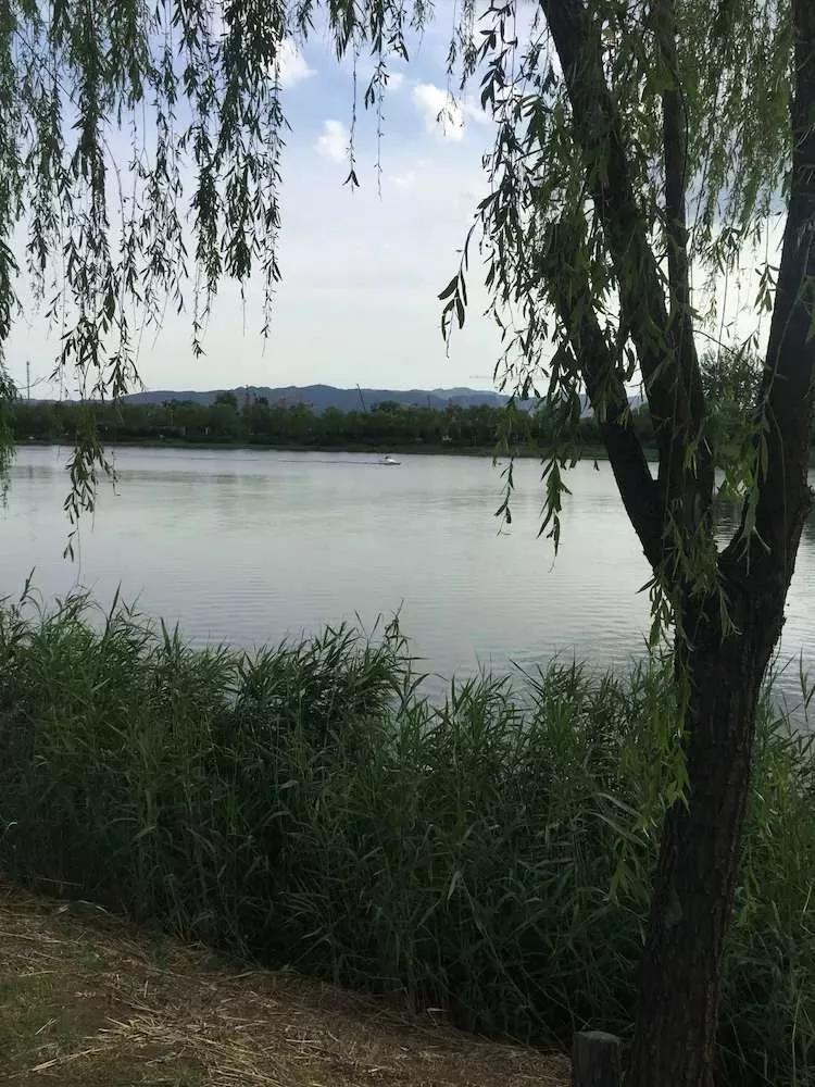 北京独门独院小四合院出售,北京四合院单身公寓