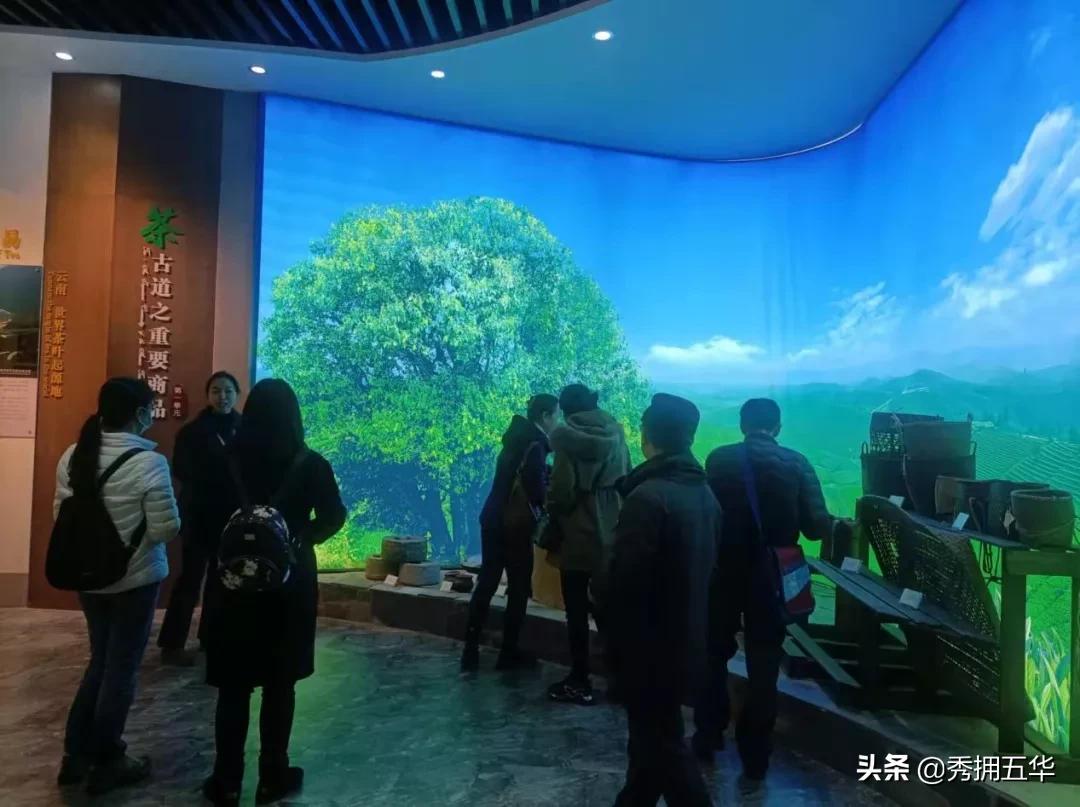 弘扬传统文化厚植爱国情怀妇联,昆明云南大学伍马瑶人类学博物馆