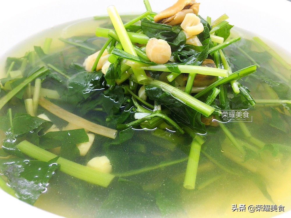 蒲公英野菜什么人不能吃,蒲公英是清热下火的吗