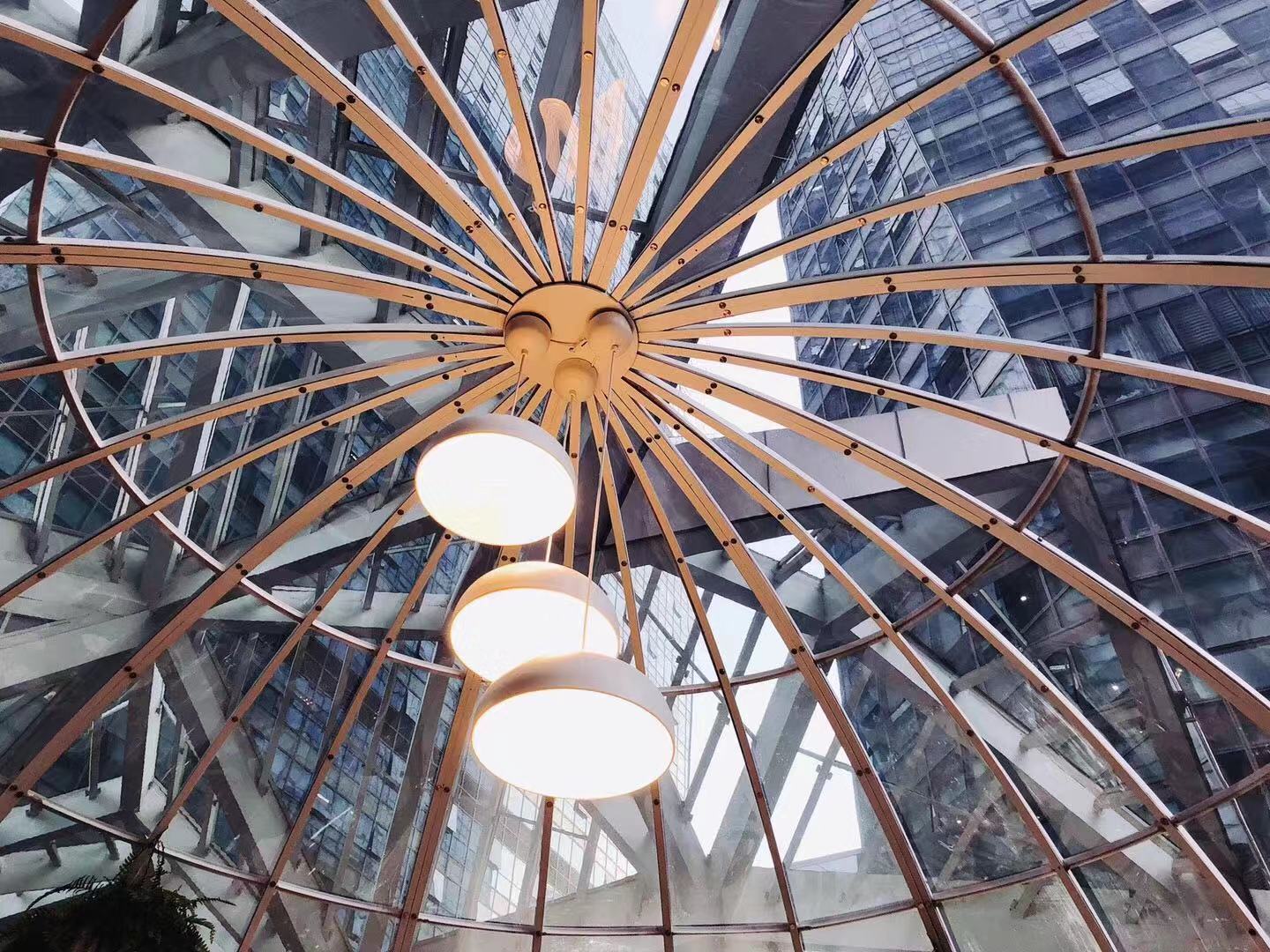 theoasis绿洲,theurbanoasis