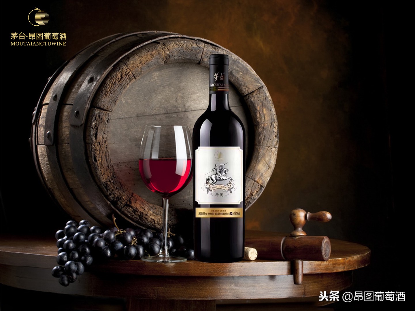 每一款葡萄酒都有属于它的秘密,想了解葡萄酒看什么书