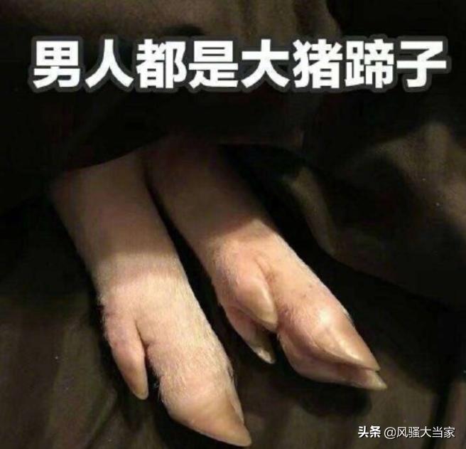 网络流行语你知道多少,浅谈网络流行语可以从哪方面入手